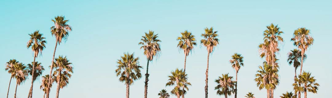 Mastering Crisis Management: Essential Skills